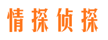 张家川市调查公司